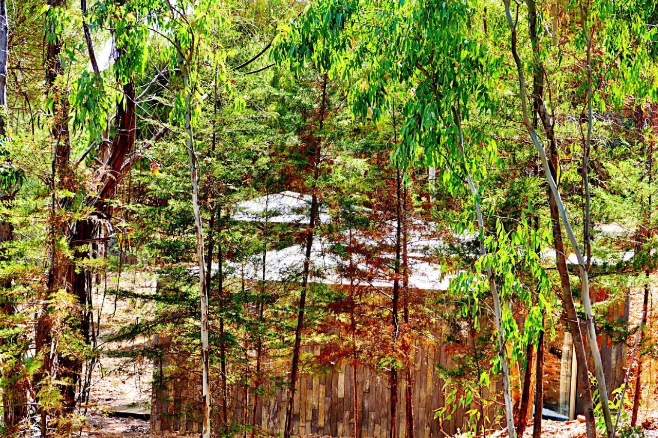 Herdade Clube Tiro Monfortinho Kültér fotó
