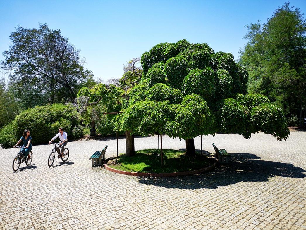 Herdade Clube Tiro Monfortinho Kültér fotó